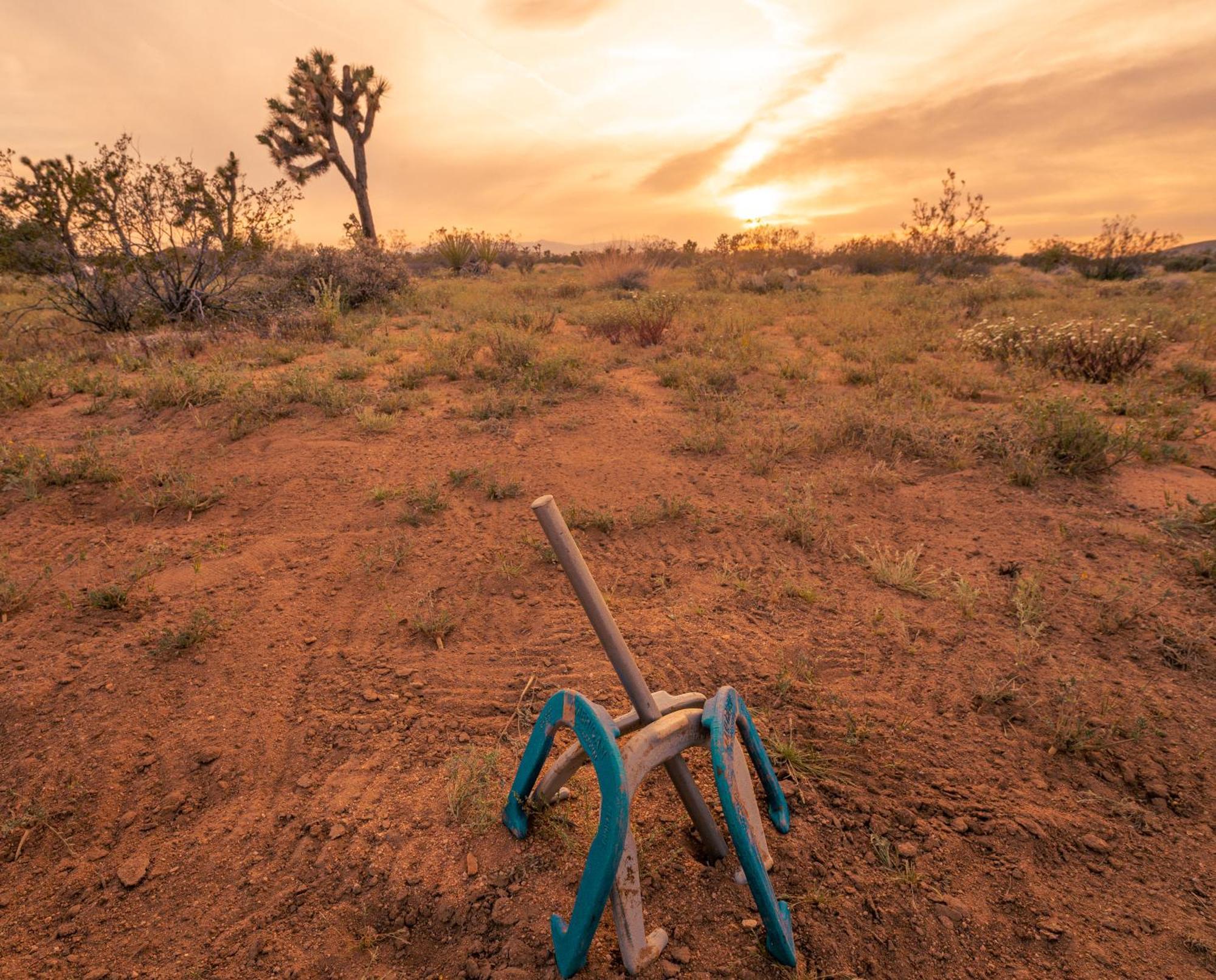 ジョシュア・ツリー Coyote Tracks - A Modern Desert Experienceヴィラ エクステリア 写真